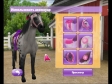 Pony Friends 2 Компьютерная игра DVD-ROM, 2009 г Издатель: Новый Диск; Разработчик: Tantalus Interactive пластиковый Jewel case Что делать, если программа не запускается? инфо 2517p.